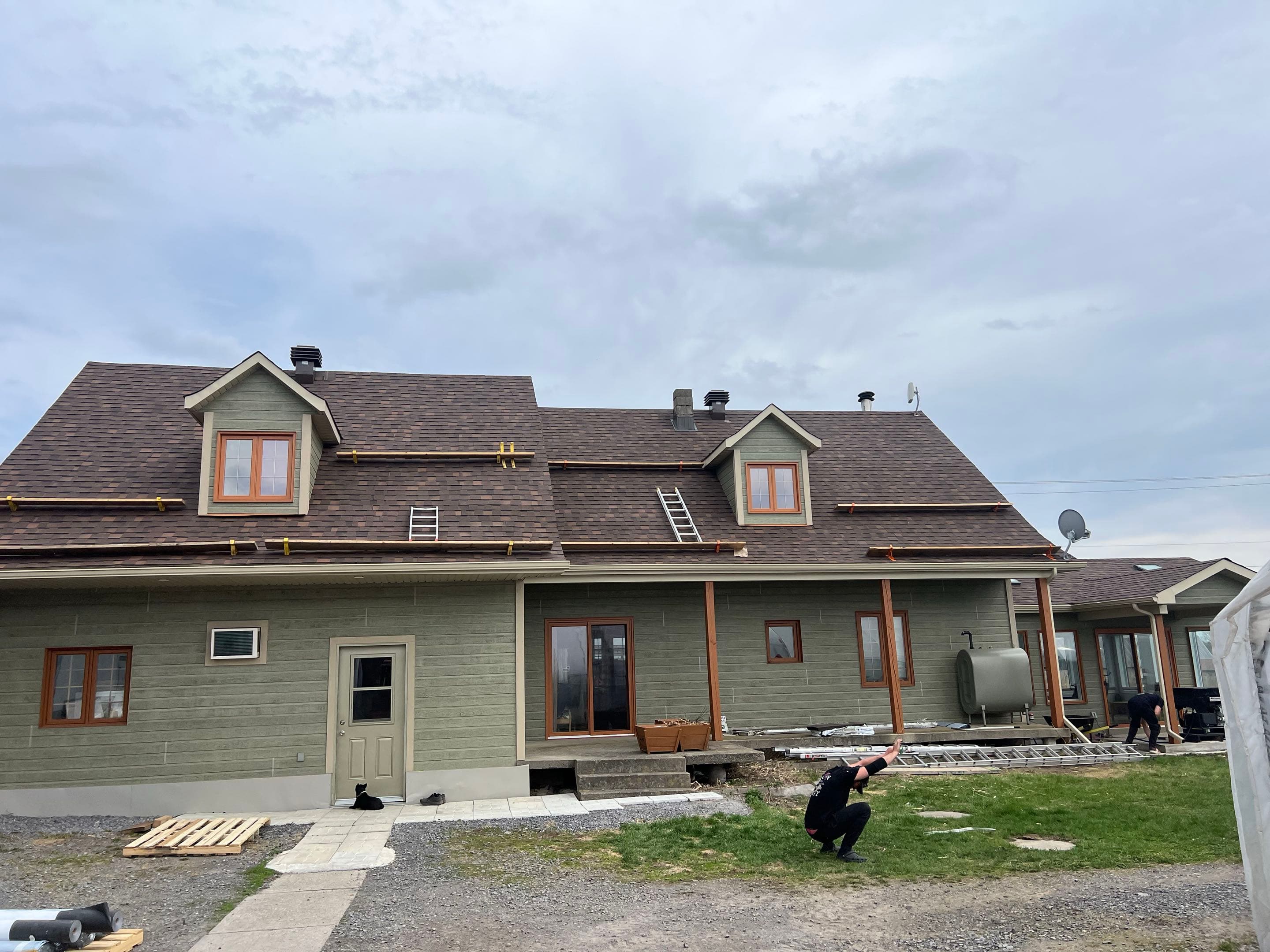 Shingle Replacement